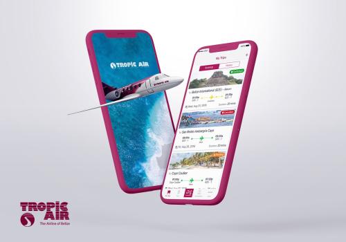 Flight booking mobile application to guarantee increased revenue and customer retention