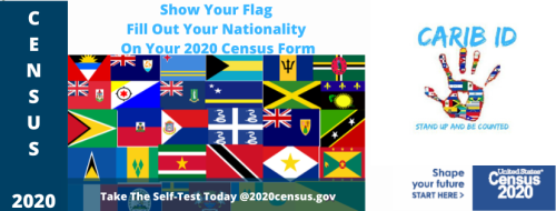 Carib ID Census 2020