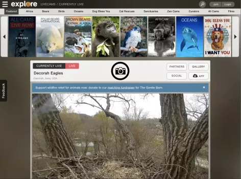 Reimagined and rebuilt the website, architecture, and CMS for Explore.org