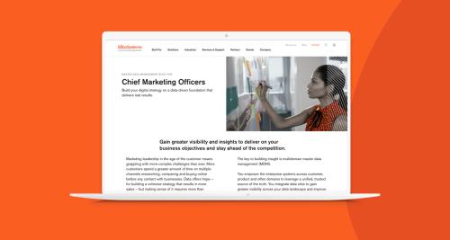 Stibo Systems—Creating a persona-driven web experience