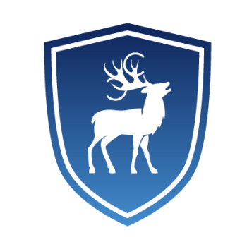 Cyber Chasse Staffing