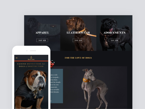 Bone Idol - Bespoke Shopify Design & Development