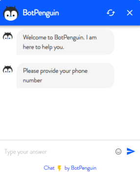 How your Chatbot will Look