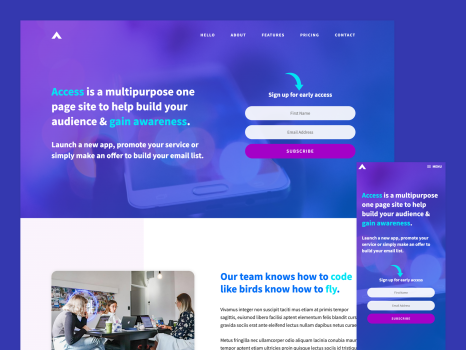 WordPress Theme Design & Development