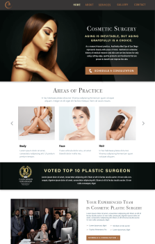 Plastic Surgery Website Design