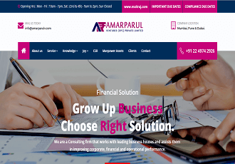 CA Firm website development