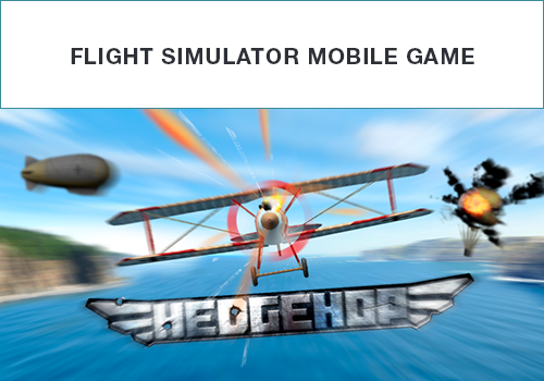 HedgeHop Flight Simulator