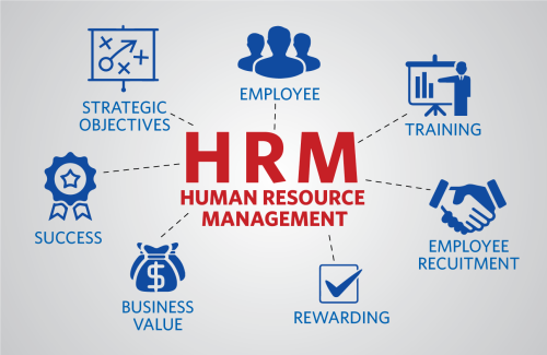 HRM at Grupokaybee, Texvista Bangladesh