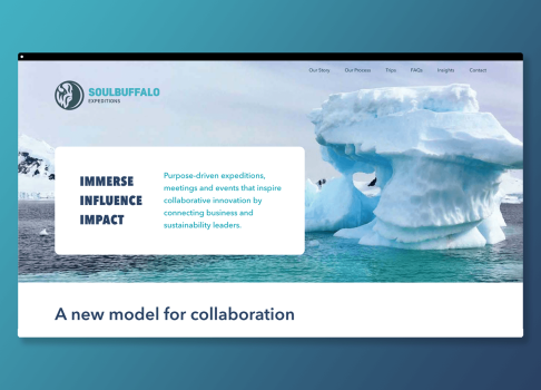 SoulBuffalo - take action on global sustainability challenges