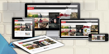 AceGurus Web Designing