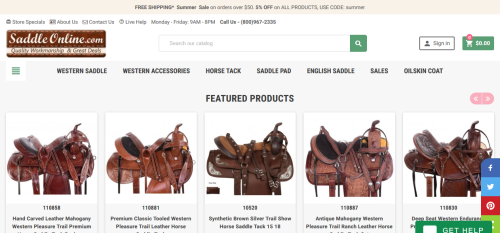 SEO of Sadddleonline.com