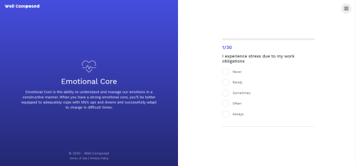 Online Survey Platform