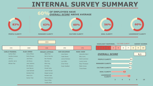 Survey Summary Report
