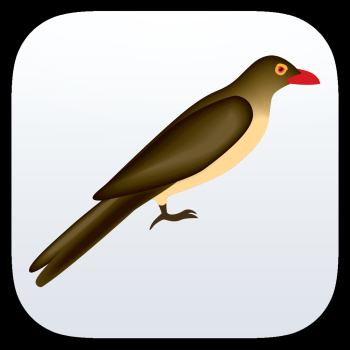 Afrivat Catalogue app development
