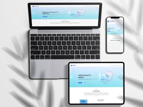 PROXIM GLOBAL LLC