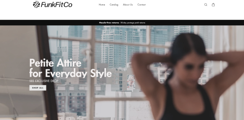 Website Development