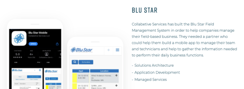 Blu Star application development