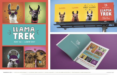 Minnesota Zoo - Llama Trek Campaign