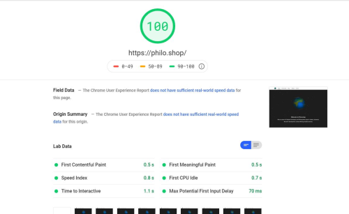 Google PageSpeed Audit