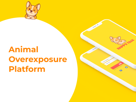 App Design and Branding