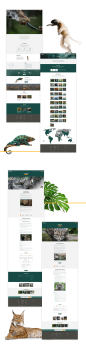Global Wildlife Conservation Website Design