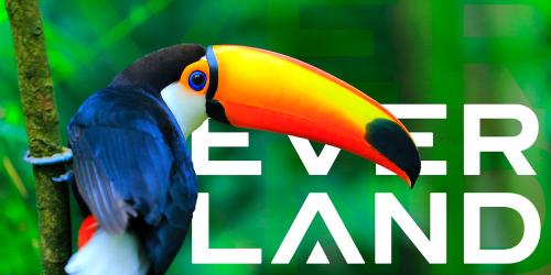 Everland Website Design and Development