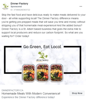 Facebook & Instagram Advertising