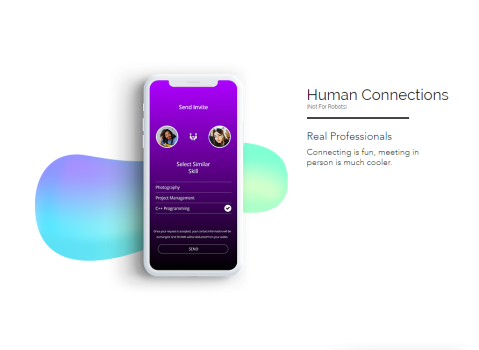 [Startup]. Web App development for professional meetings