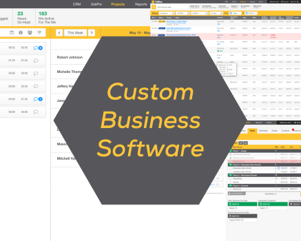 Custom Business Software