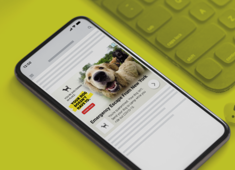 Glencadia - Google Ads