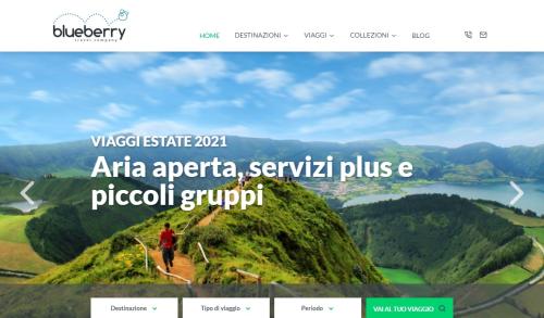 blueberrytravel.it