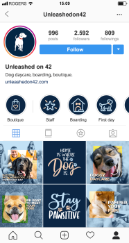 Instagram Boutique - Unleashed on 42