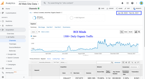 SEO Organic Traffic and Sales