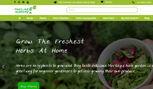Prashar Nursery