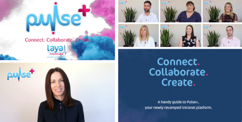LAYA HEALTHCARE: INTERNAL COMMS ACTIVATION