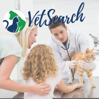 VETSEARCH