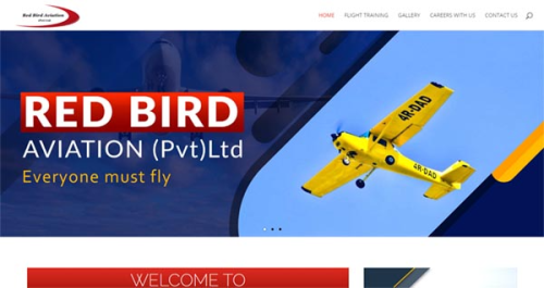 Web design for an aviation company