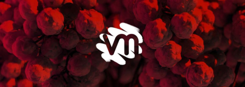 Visual Minds