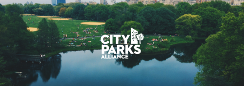 Reimagining the City Parks Alliance Website