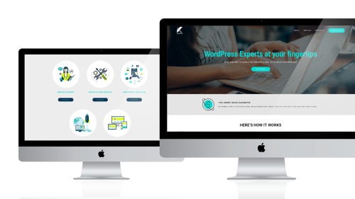 Promo Site  (WordPress)