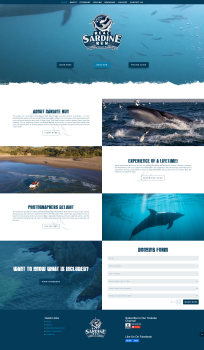 Web ReBranding - Real Sardine Run