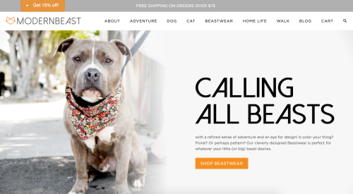 Modernbeast Web Development