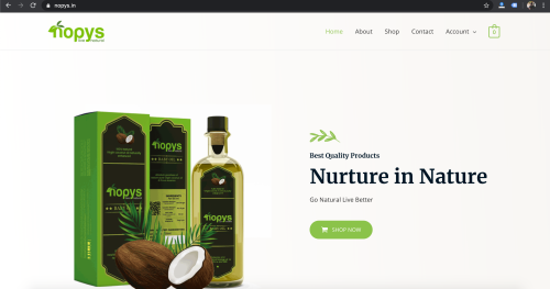 Ecommerce website for Nopys