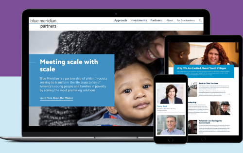 Blue Meridian Partners | Branding and Digital Strategy