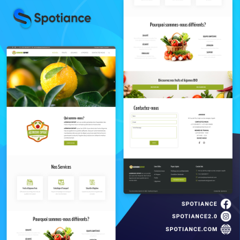 Company Website