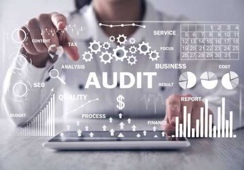 Website Audit Services