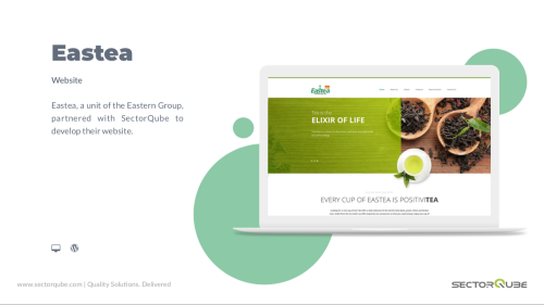CMS Website