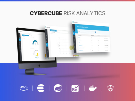 Cybercube Risk Analytics