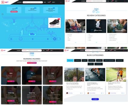 Building the one of the most popular review websites in its niche