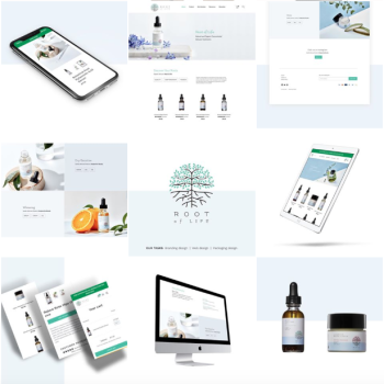 Ecommerce Web Design